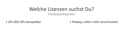 Welche Lizenzen suchst Du - Freitextantworten1024 1.jpg